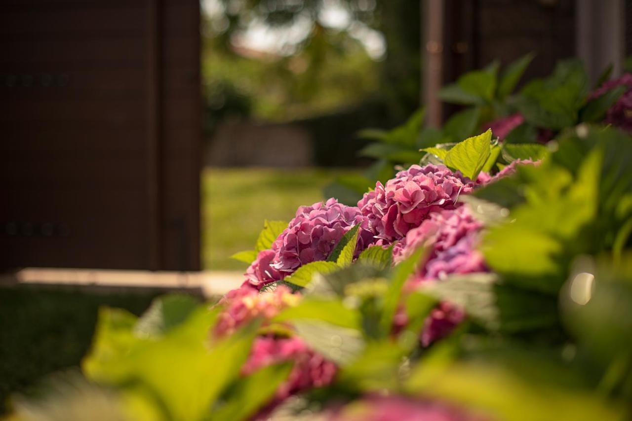 Tmbin's barn Villa Sezana Bagian luar foto