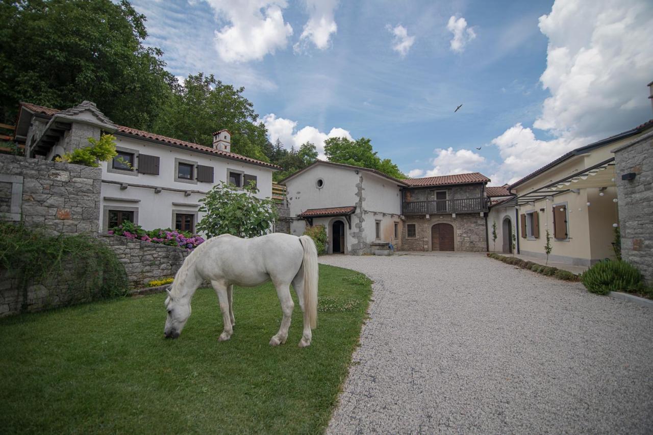 Tmbin's barn Villa Sezana Bagian luar foto