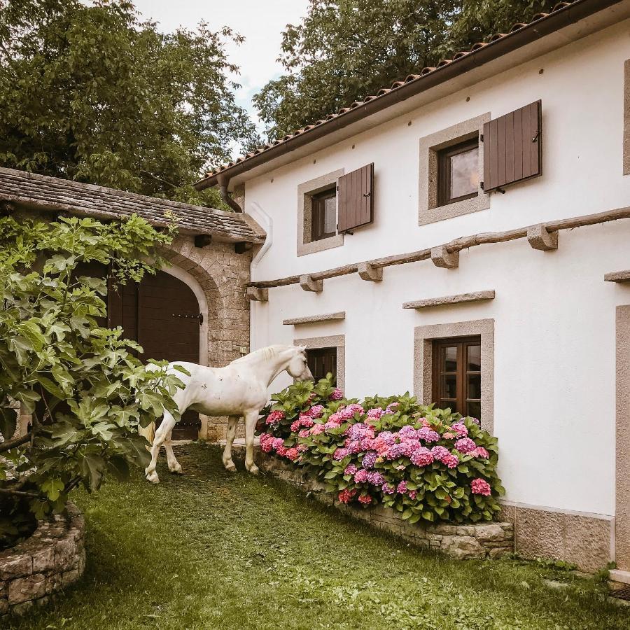 Tmbin's barn Villa Sezana Bagian luar foto