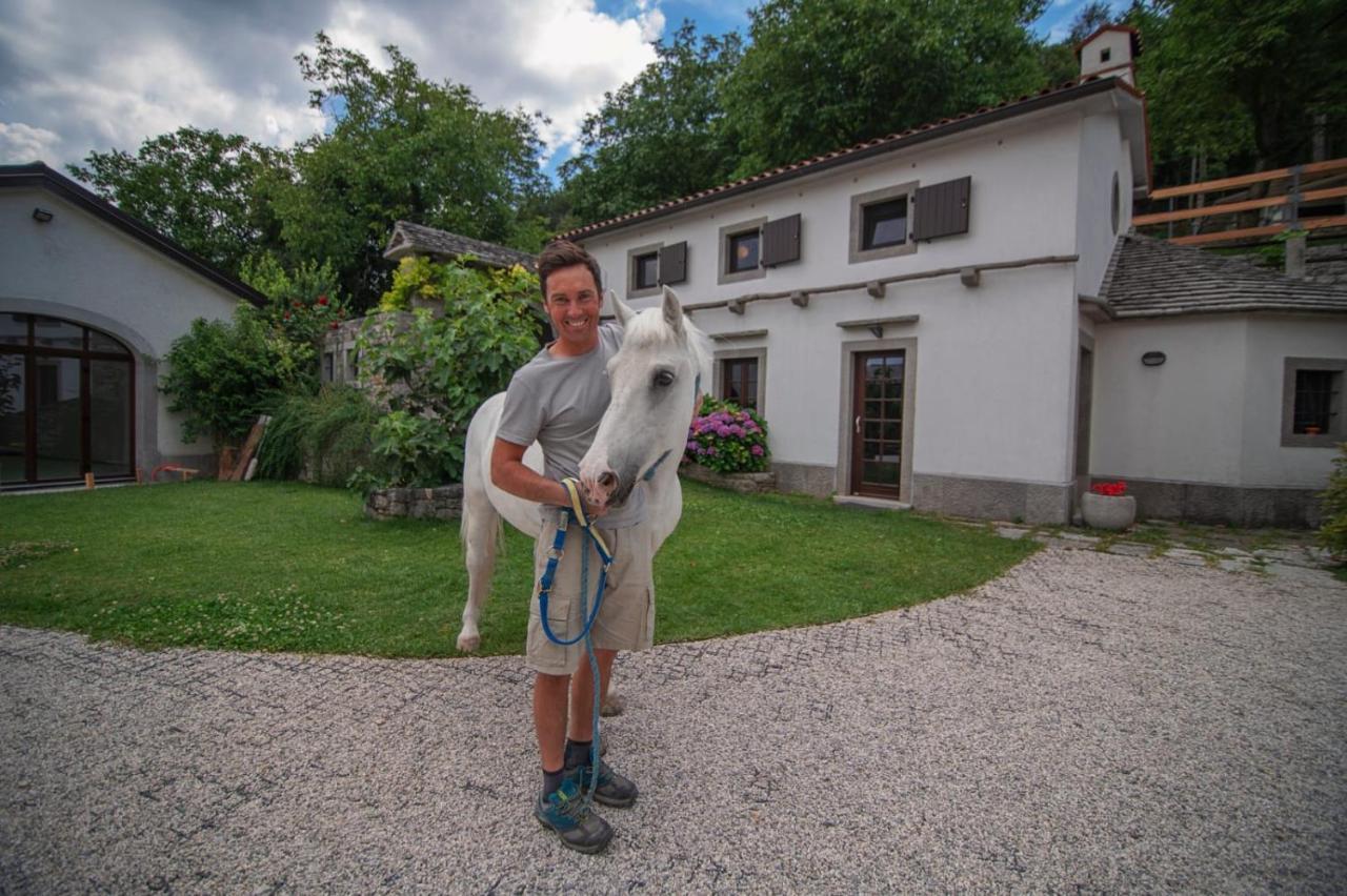 Tmbin's barn Villa Sezana Bagian luar foto