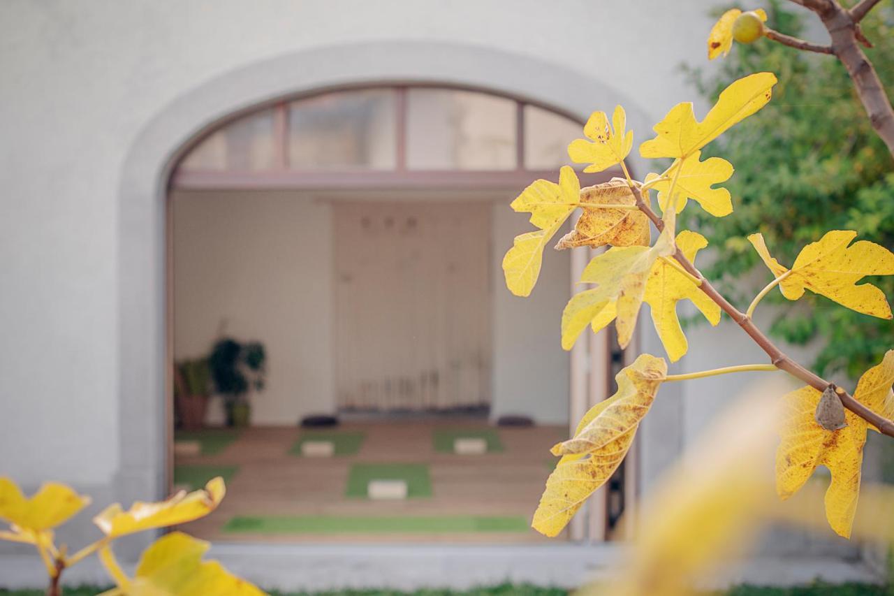 Tmbin's barn Villa Sezana Bagian luar foto