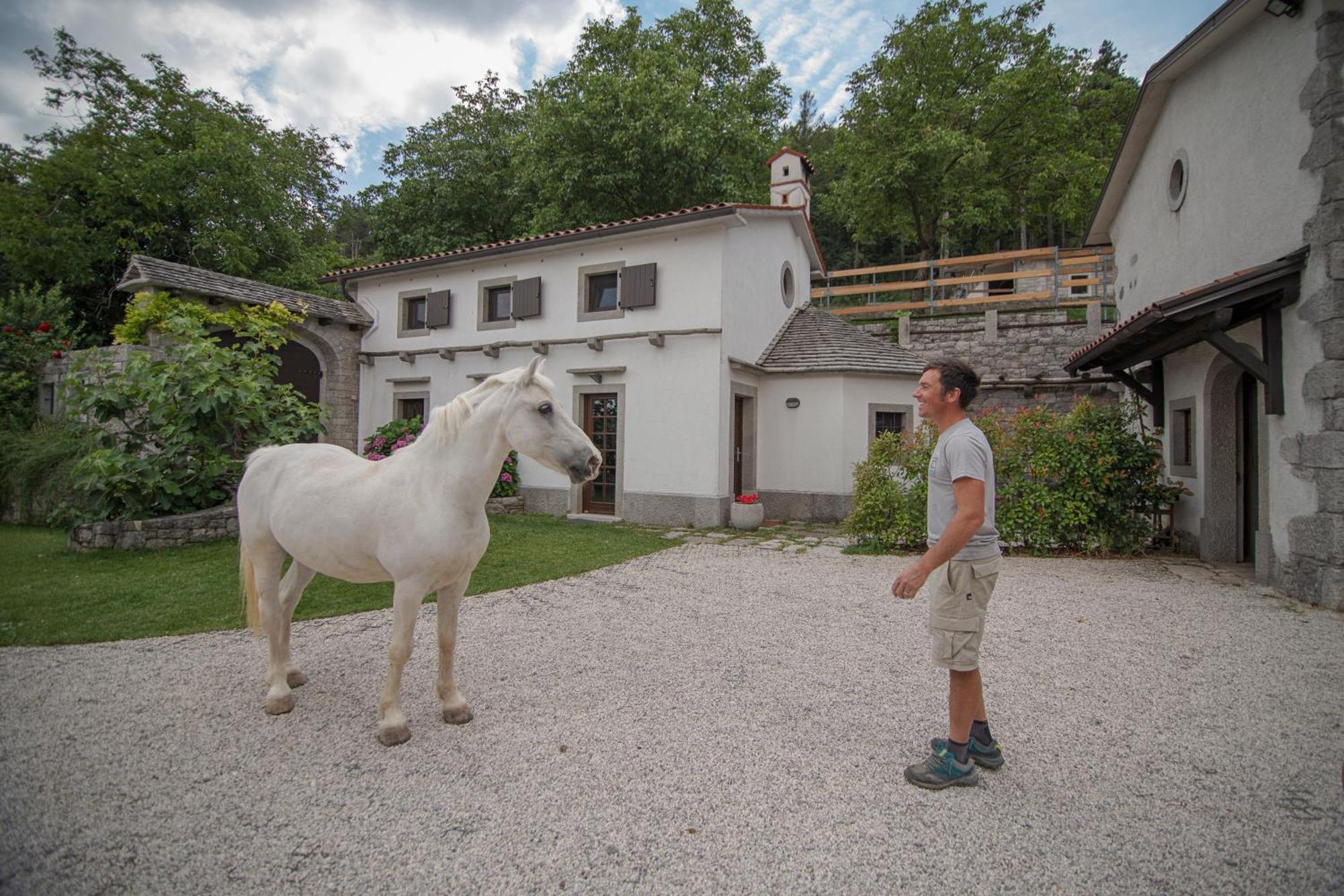 Tmbin's barn Villa Sezana Bagian luar foto